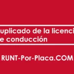 Duplicado de la licencia de conducción