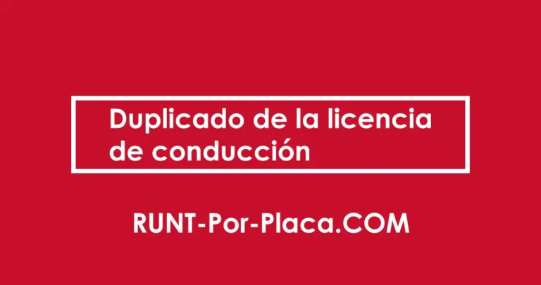 Duplicado de la licencia de conducción