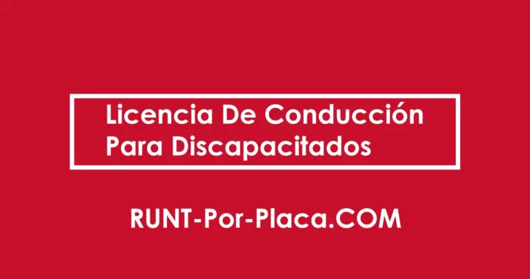 Licencia De Conducción Para Discapacitados