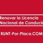 Renovar la Licencia Nacional de Conducir