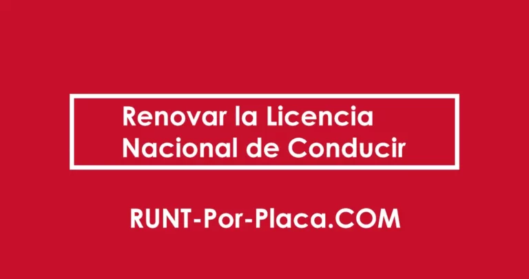 Renovar la Licencia Nacional de Conducir