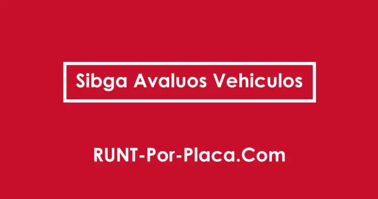 Sibga Avaluos Vehiculos